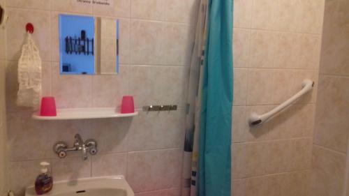 uma casa de banho com um chuveiro e um lavatório. em Dom Na Ludowo w Brzeźnicy em Brzeźnica