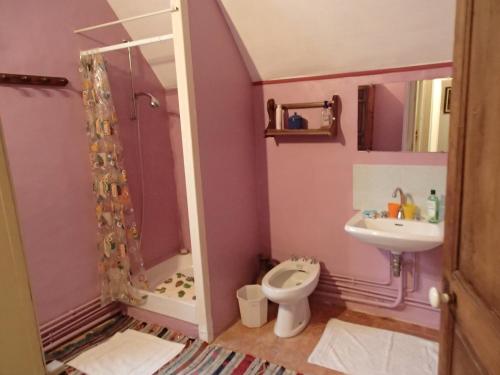 a bathroom with a shower and a toilet and a sink at France Petit Château in Loué