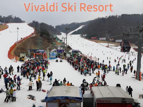 a large crowd of people on a ski resort at Heidi Korea in Hongcheon