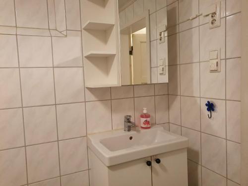 Koupelna v ubytování Bårdshaug Studio Apartment