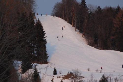 a group of people skiing down a snow covered slope at AD Šafrán č. 25 in Donovaly