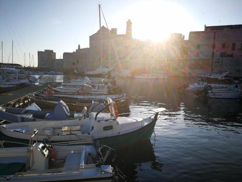 a group of boats are docked in a harbor at Palazzo Framarino dei Malatesta - Noble Floor - XIV Century in Giovinazzo