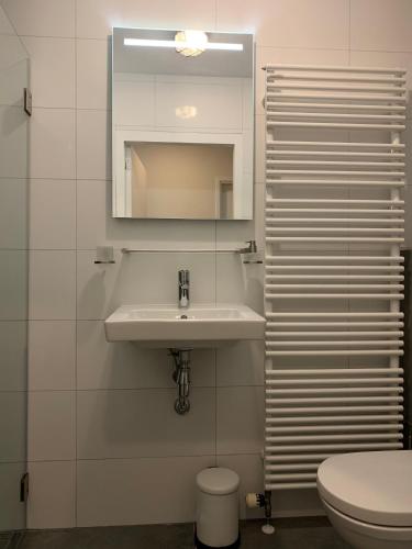 a bathroom with a sink and a toilet and a mirror at Zonnebos, private garden, fresh air, relax! in Otterlo