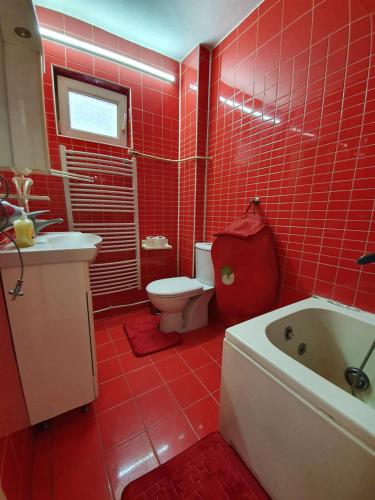 a red tiled bathroom with a toilet and a sink at Petrov Apartment in Downtown - City Center 70m2 in Skopje