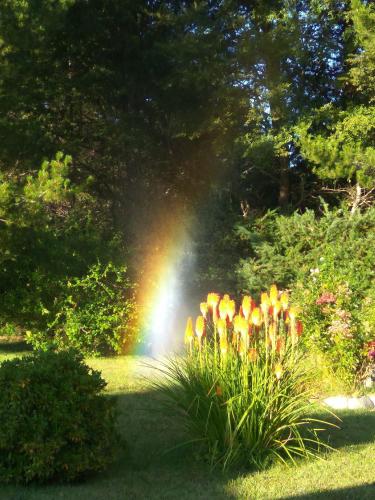 a rainbow in the middle of a garden with flowers at Cabañas La Perla in Golondrinas