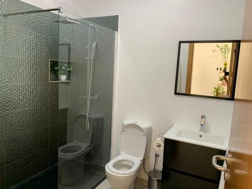 a bathroom with a toilet and a shower and a sink at Paradise Cape Verde in Santa Maria
