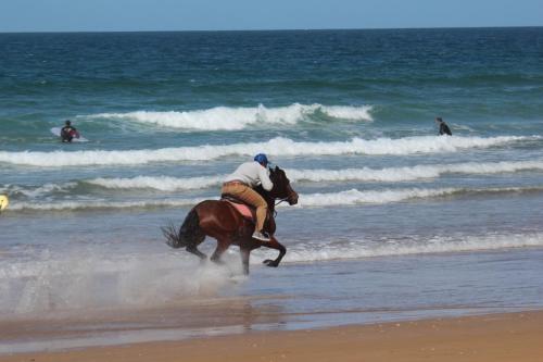 Gallery image of Dar Sultana Guesthouse Surf Morocco in Tamraght Oufella
