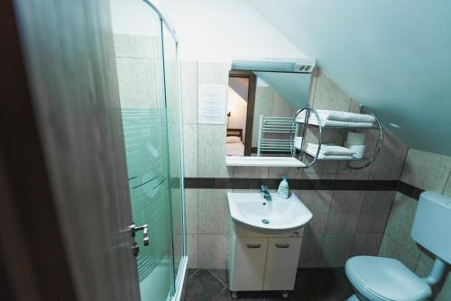 uma casa de banho com um lavatório, um chuveiro e um espelho. em Pensiunea Valea cu Salcâmi em Vişeu de Jos