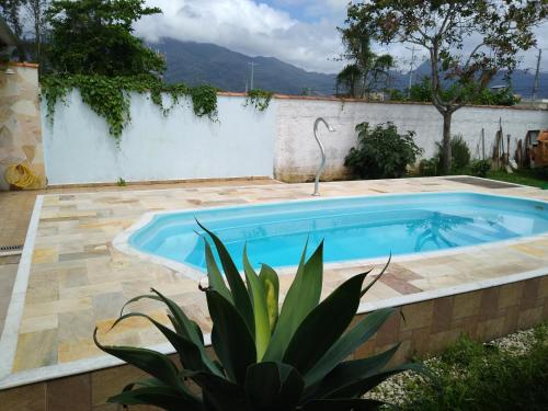 een zwembad in een achtertuin met een plant bij Suíte em Caraguá in Caraguatatuba