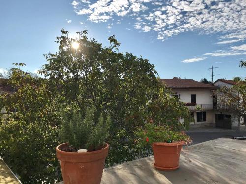 two potted plants on a patio with a tree at Krasen Kras Apartment in Komen