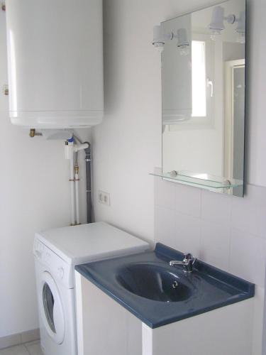 une salle de bain avec un lavabo et une machine à laver dans l'établissement Gîtes des Campanes, à Saint Alban Auriolles