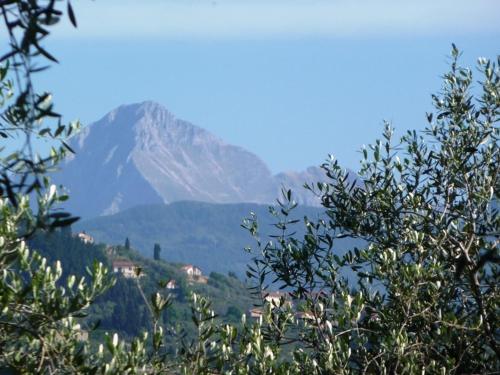 Fattoria di Camporomano – Photos 3