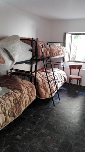 two bunk beds in a room with a window at PHOENIX HOSTEL in Valprato Soana