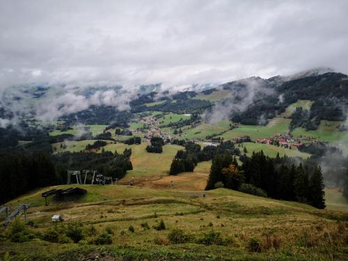 a view of a hill with a town in the distance at Jungholz Erlebnis in Jungholz
