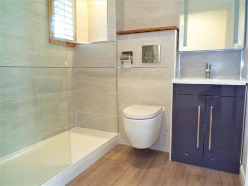 a bathroom with a toilet and a shower and a sink at 67c The Mews in Newport