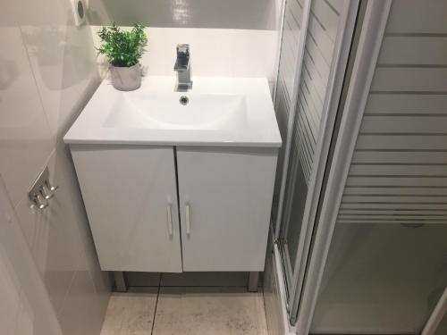 - un lavabo blanc dans la salle de bains avec une plante en pot dans l'établissement Appartement la pointe rouge bord de mer, à Marseille