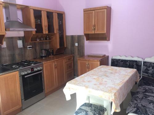 Kuhinja oz. manjša kuhinja v nastanitvi Oasis
