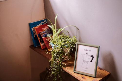 a shelf with a picture and a plant on it at Leónidas Design Loft in Mendoza