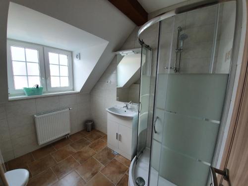 a bathroom with a shower and a sink at Rooms Korina in Samobor