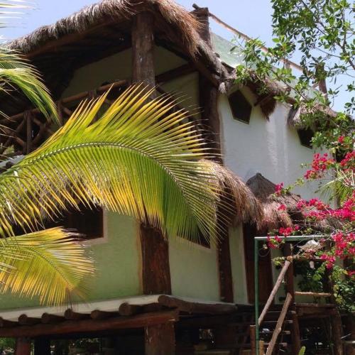 a house with a palm tree in front of it at La Casa de Juan in Holbox Island