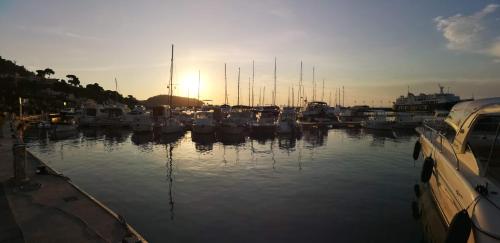a group of boats are docked in a harbor at Casa Filomena in Ischia