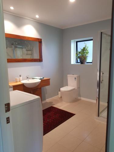 a bathroom with a toilet and a sink at Mākoha Place in Nelson