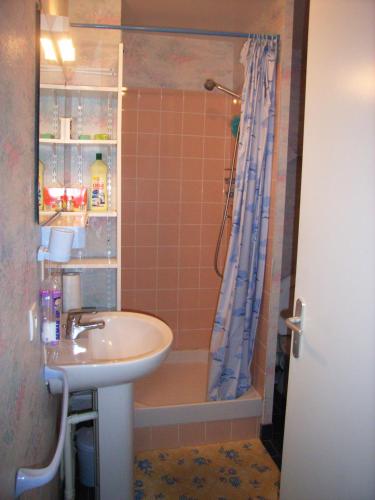une salle de bain avec un lavabo et une douche dans l'établissement REF 093 Appartement T4 pour six personnes piscine l'été Port Crouesty et plage, à Arzon