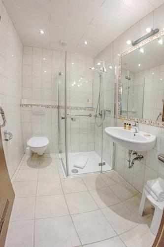 a bathroom with a shower and a sink and a toilet at Landhaus Göddertzhof in Erkelenz