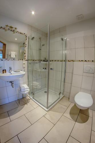 a bathroom with a shower and a toilet and a sink at Landhaus Göddertzhof in Erkelenz