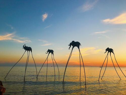 a group of four giraffes standing in the water at Lucky Phu Quoc Hotel in Phú Quốc