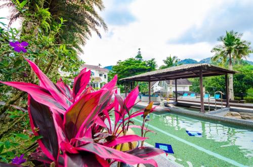 a tropical garden with a pool and a pink plant at Butchard Villas in Yuchi