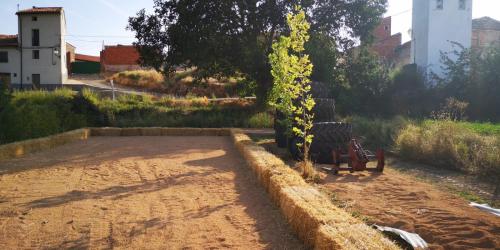 a bench sitting next to a tree in a dirt field at Casa rural L´Amparo -3 espigas- Categoría superior-15 personas in Navarrete del Río