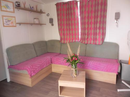 a couch with a vase of flowers on a table at Mobil Home dans camping Lattes in Lattes