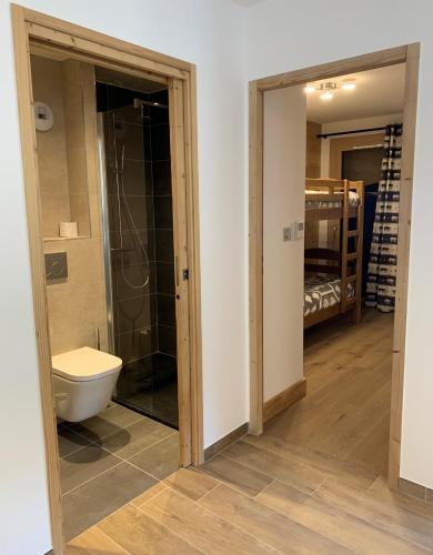 La salle de bains est pourvue de toilettes et d'une douche à l'italienne. dans l'établissement PORTES DU PLENEY 201, à Morzine