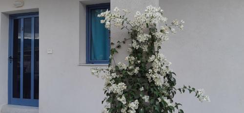 Φωτογραφία από το άλμπουμ του Nikolas Apartments στην Αμμουδάρα Ηρακλείου