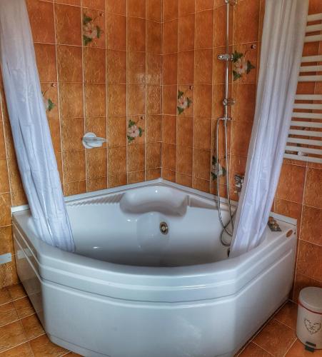 a bathroom with a bath tub with a shower at RICCI Rooms in Roccasecca