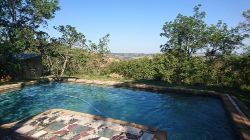 a swimming pool with a hose in the water at Eloff Guest House and Gallery in White River