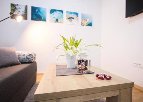 ein Wohnzimmer mit einem Couchtisch mit einer Pflanze in der Unterkunft Good choice apartment Zagreb in Zagreb