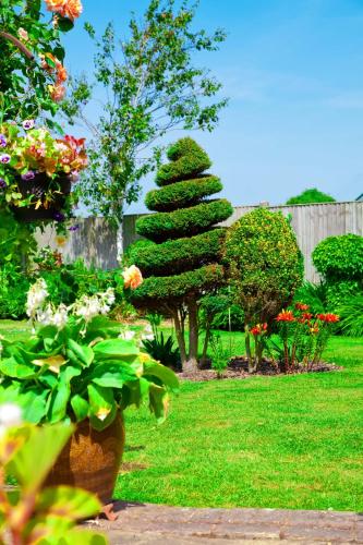 a small pine tree in a yard with flowers at Elmcroft Guest House in Epping