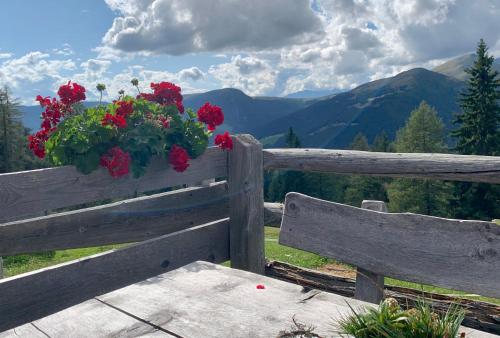 a wooden bench with a bunch of flowers on it at Apartment HaNiLe in Sarntal