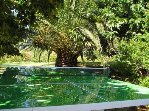 einen Wasserpool mit einer Palme im Hintergrund in der Unterkunft Domenique in Budoni