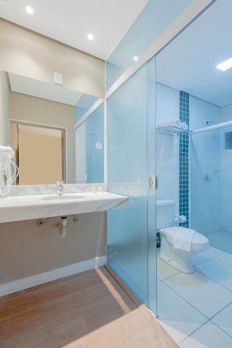 a bathroom with a shower and a sink and a toilet at Araçatuba Plaza Hotel in Araçatuba