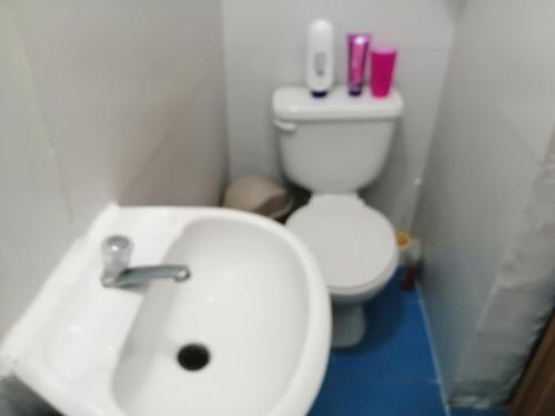 Inn Skyline Hostelにあるバスルーム