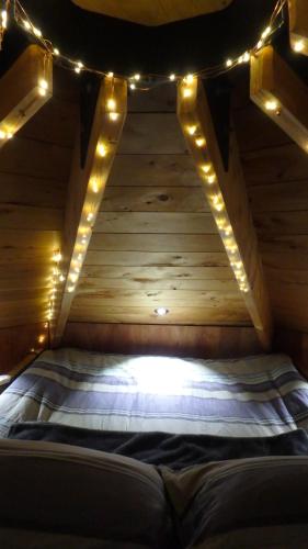 a bed in a room with lights on it at Tree House Lodge Bed & Breakfast in Cheviot
