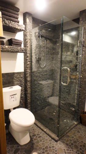 a bathroom with a toilet and a glass shower at Tree House Lodge Bed & Breakfast in Cheviot