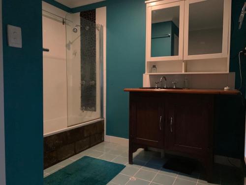 a bathroom with a sink and a shower at Bellingen Treehouse in Bellingen