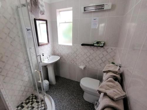 a bathroom with a toilet and a sink at Squirrels Corner in Montagu