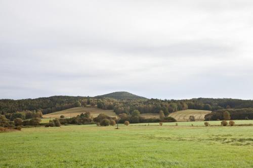 a field of green grass with a mountain in the background at Chalupa u Pilných in Kaplice