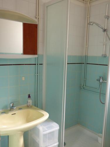 une salle de bain avec un lavabo et une douche dans l'établissement Appartement T3, RDC, 4 couchages, Front de Mer Narbonne Plage, à Narbonne-Plage