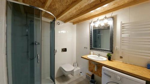 a bathroom with a shower and a sink and a toilet at apartament Madeline in Łódź